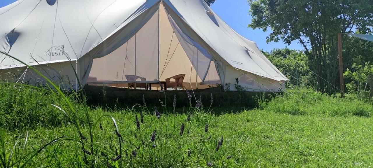 Hotel Glamping Nad Jeziorem Nowe Guty Exteriér fotografie